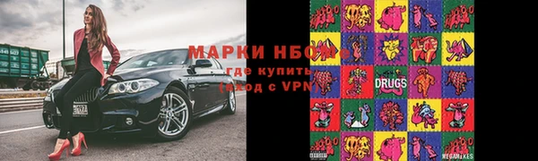 мет Алексин