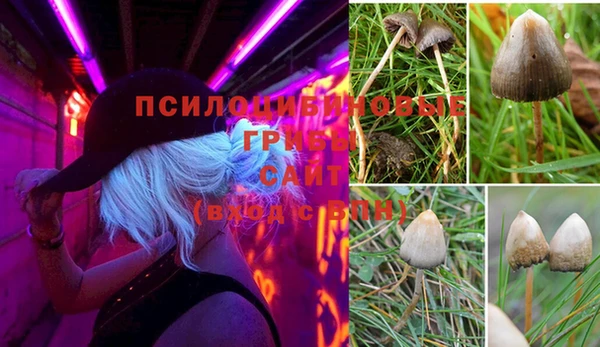 мет Алексин