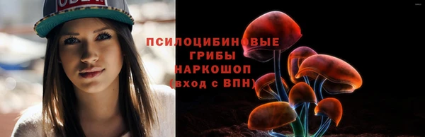 МДПВ Алзамай