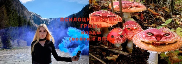 мет Алексин