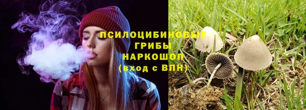 МДПВ Алзамай