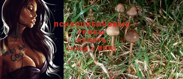 мет Алексин