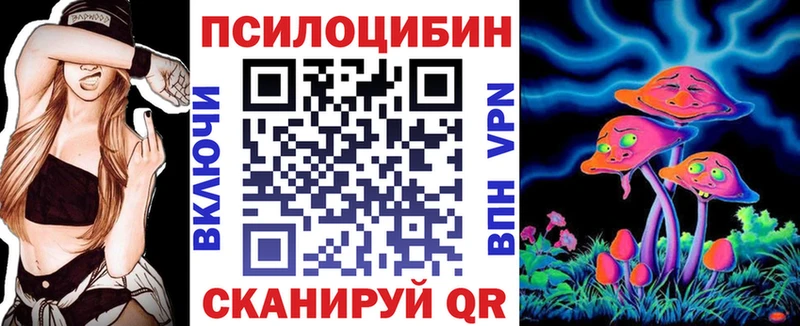 Псилоцибиновые грибы Psilocybe  блэк спрут рабочий сайт  Богучар  цена  